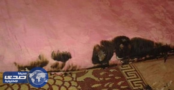 بالصور.. مصريون يتهمون " الجن " بإشعاله النيران في منازلهم