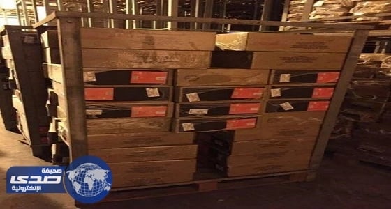 بالصور.. ضبط 3 آلاف كرتونة دجاج وأسماك فاسدة في رأس تنورة