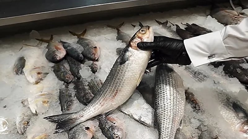 ضبط 1.5 طن من أسماك وورقيات فاسدة بسكاكا.. فيديو