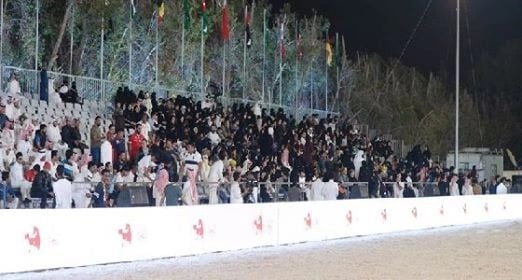 حضور نسائي كبير بمهرجان الشرقية للخيل العربية
