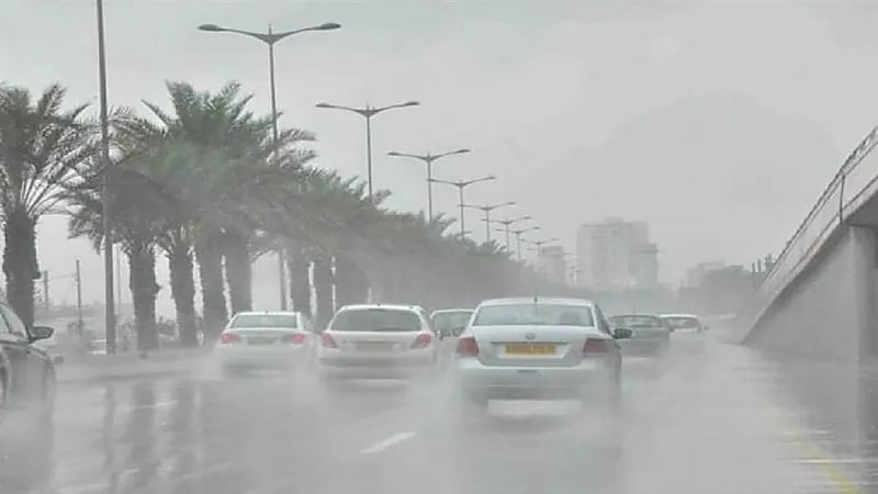 نصائح تساعد في تجنب الأمراض خلال فترة التقلبات الجوية