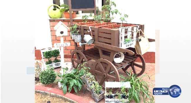 بالصور.. جدة تشهد عروض الفلاي بورد المثيرة في العيد السعيد