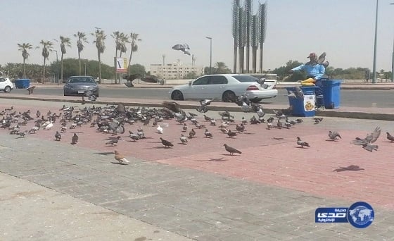 بالفيديو.. رد فعل صادم لشاب مريض سرقت زوجته هاتفه خلال علاجه بالمستشفى