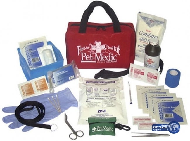 الأميرة البندري تطالب بتطوير آليات الاستحقاق لتقديم الدعم الحكومي