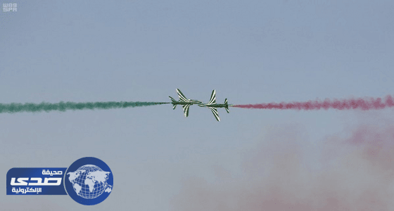 الصقور السعودية تستهل أولى عروضها في سماء حفر الباطن