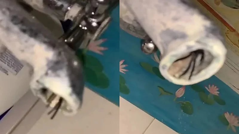 بالصور.. امرأة تتعرض لمفاجأة مرعبة أثناء الاستحمام