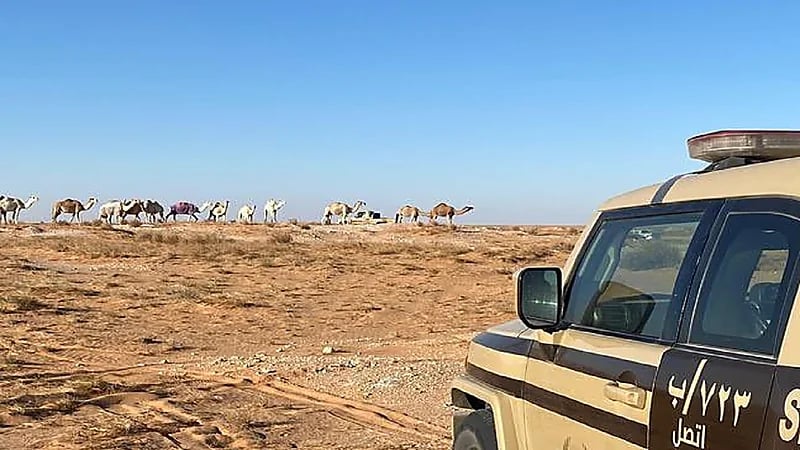 ضبط 5 مخالفين لنظام البيئة