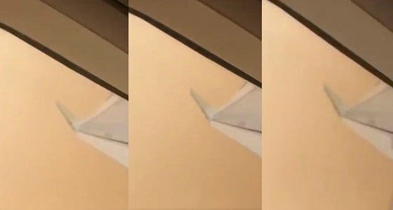 بالفيديو.. صياح ودعاء في رحلة جوية من الرياض للقصيم