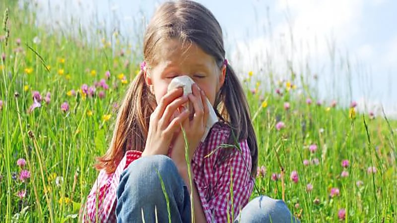 أخصائي: المأكولات البحرية والمكسرات تسبب الحساسية للأطفال