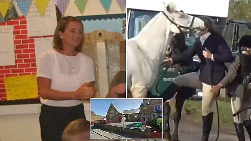 بالفيديو.. معلمة تصفع وتركل حصان بلا رحمة