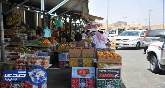 ضبط مخالفات نظامية في حملة تفتيشية على محال الفواكهه والخضار بنجران