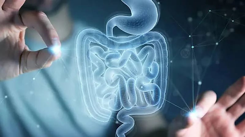 6 طرق طبيعية لتحسين صحة الجهاز الهضمي دون أدوية.. فيديو