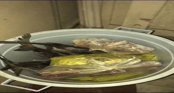 بالصور.. ضبط ألف كيلو من اللحوم مجهولة المصدر بمطعم بالخبر الجنوبية