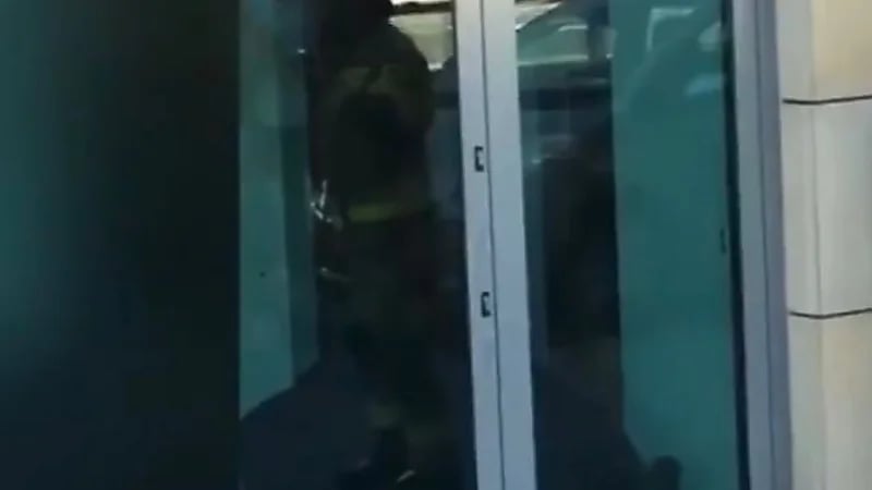 شاهد.. خنزير بري يثير حالة من الذعر والفوضى بصالون تجميل