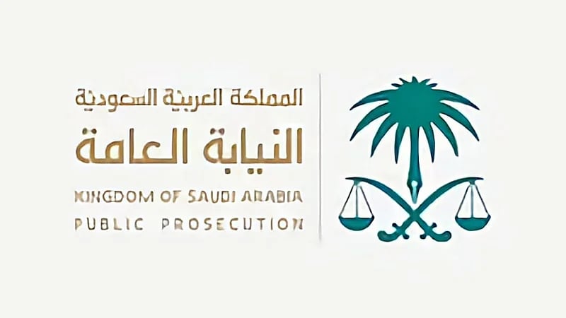النيابة العامة توضح عقوبة نشر الوثائق أو المعلومات الحكومية السرية