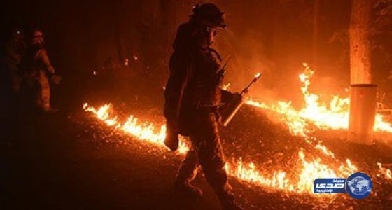 بالفيديو.. مختص بالموارد البشرية يكشف عن أداة تساعد في اختيار الوظيفة المناسبة