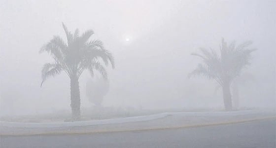 الأرصاد: ضباب كثيف وانعدام الرؤية الأفقية على المنطقة الشرقية