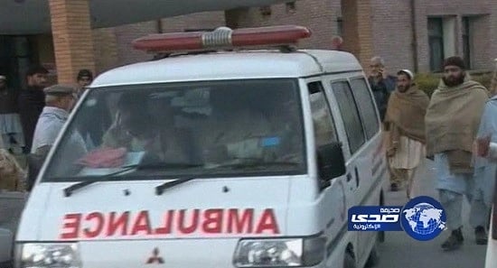 بالفيديو.. تمساح يلتهم جثة ضحية تحطم طائرة