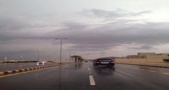 أمطار رعدية وأتربة مثارة تؤدي لانعدام الرؤية بثلاث مناطق في المملكة