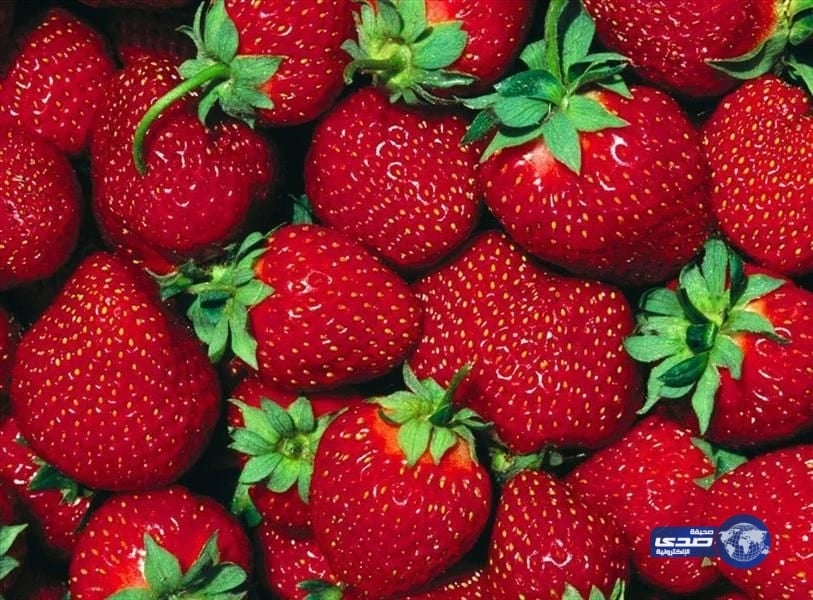 "مختص" يحذر المواطنين من شراء "الفراولة المجمدة" المصرية