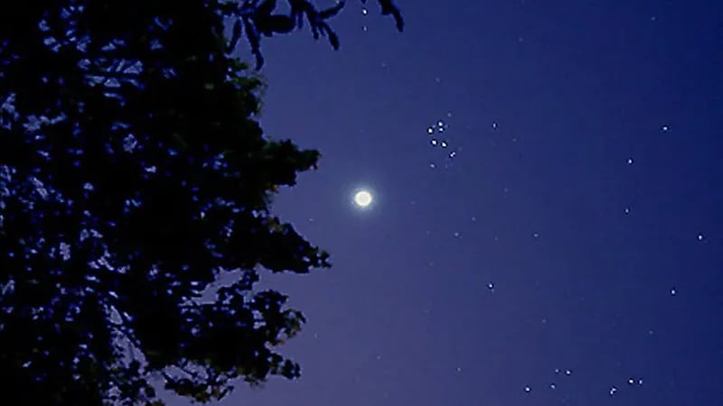 فلكية جدة ترصد كوكب عطارد اليوم