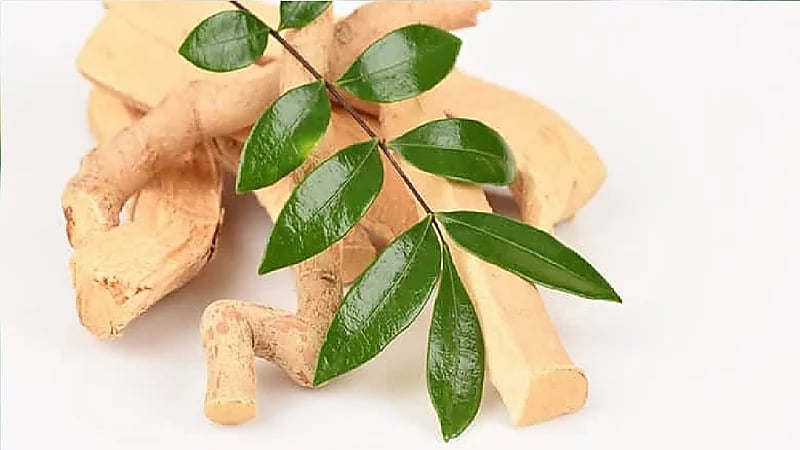 بالفيديو .. استشاري: عشبة "تونكات علي" لرفع هرمون الذكورة غير آمنة