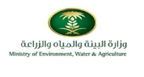 البيئة تطلق حملة تشجير نجران