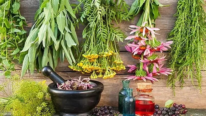 "الذيابي" يوضح الأعشاب المستخدمة طبيًا للتغلب على الإمساك