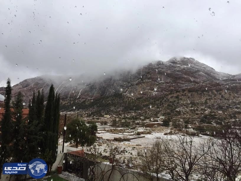 أمطار من غزيرة الى متوسطة بعسير