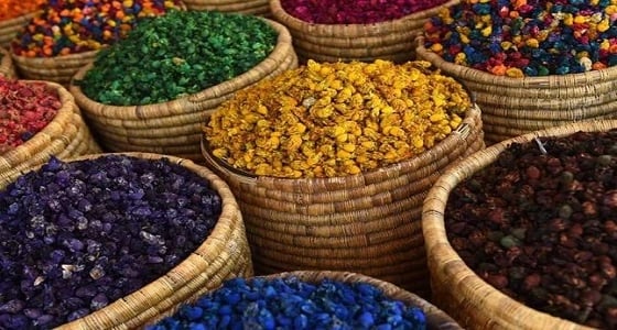 نبتة " الكبار " تجذب آلاف الأجانب للمغرب لهذا السبب