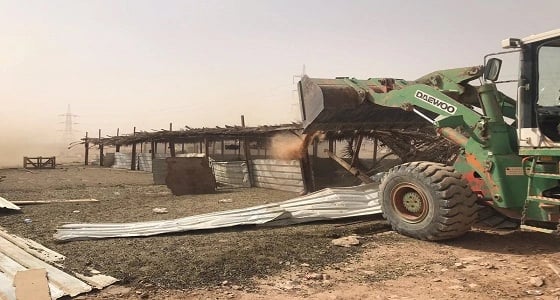 بالصور.. إزالة حظيرتين ورفع 115 رد من المخالفات بالشفاء