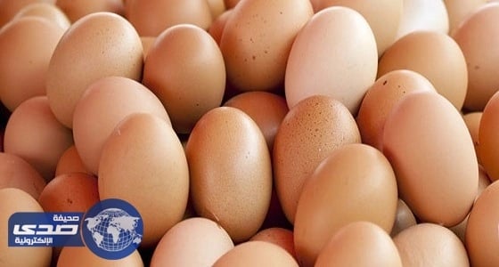 ألمانيا: ما حدث للبيض عمل إجرامي