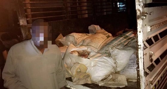 الإطاحة بمصنع " الشمة " وضبط 243 مخالفا بالعاصمة المقدسة