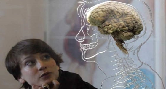اكتشفي الفرق بين أدمغة الرجال والنساء