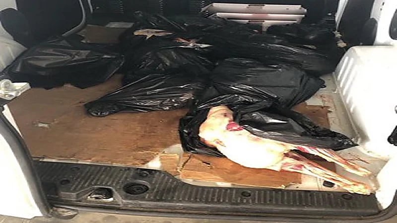 إحباط تهريب 77 ذبيحة فاسدة في 6 نقاط تفتيش بجدة