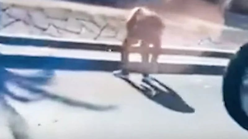 شاهد.. أموال متناثرة على طريق عام بسوريا