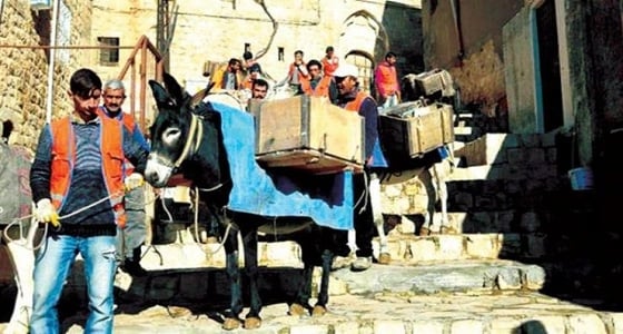 ألحان موتسارت وبيتهوفن في حفل تكريم حمير بتركيا