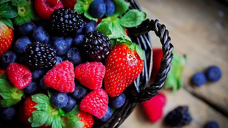 النظام الغذائي منخفض الفلافانول يؤدي إلى فقدان الذاكرة المرتبط بالعمر