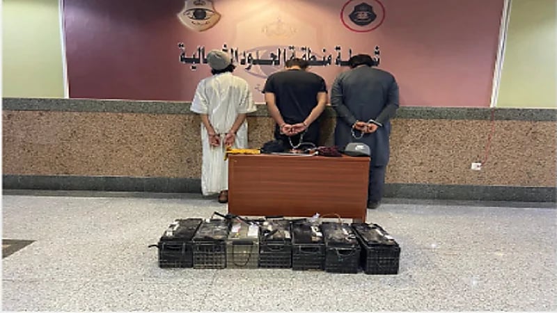 ضبط 3 أشخاص اعتدوا على أجهزة ساهر وسرقوا بطارياتها برفحاء