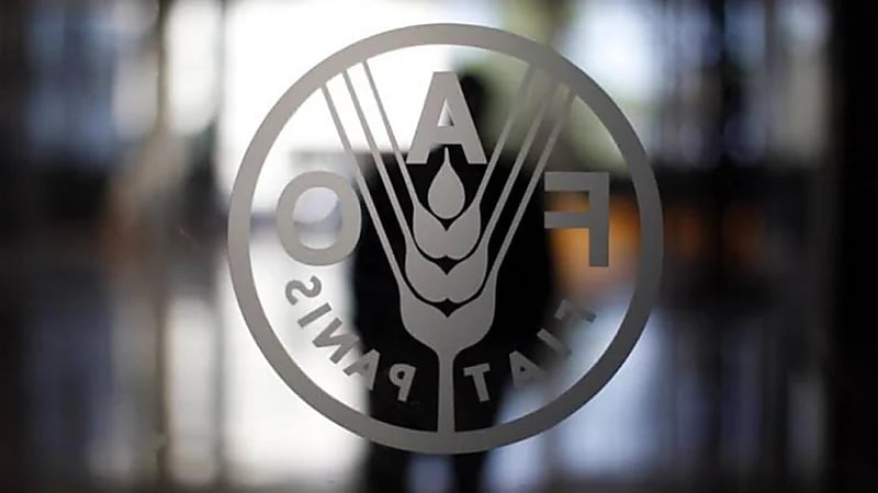 ‎مؤشر أسعار الغذاء العالمية يتراجع خلال نوفمبر الماضي