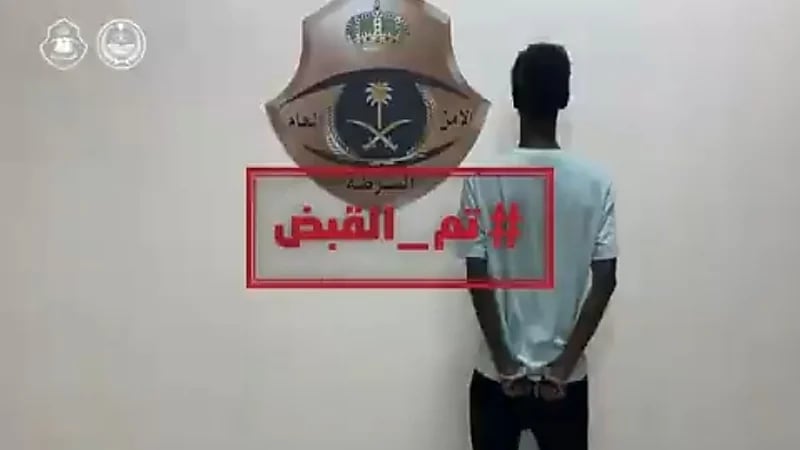 بالفيديو.. "الأمن العام" يكشف عن قائمة المقبوض عليهم في عدة جرائم