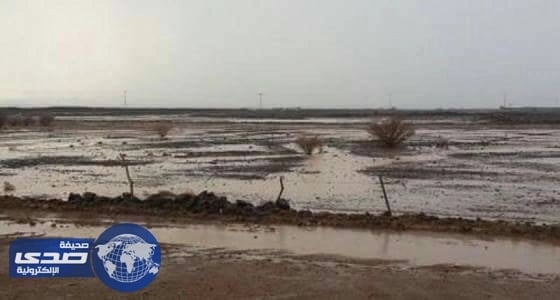 تحذير من أمطار رعدية ورياح نشطة تحد من الرؤية بالمدينة المنورة