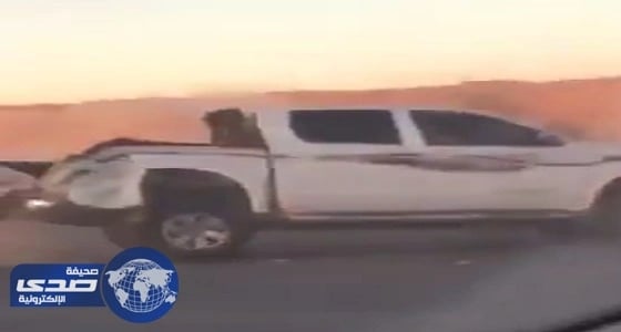 بالفيديو.. مفحط يسير بسرعة جنونية ويتسبب في حادث تصادم مروع
