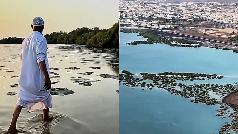 عين ماء عذبة تتدفق من قلب البحر جنوب غرب المملكة.. فيديو