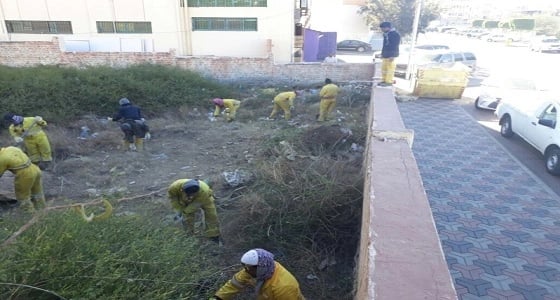 بالصور.. " أمانة عسير " تزيل 180 مترًا مكعبًا من المخلفات بمقابر أبها