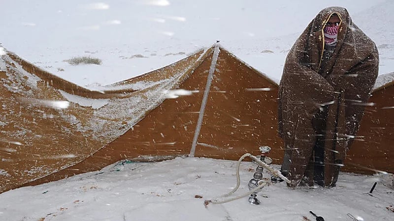 ما لا تعرفه عن موسم "بياع الخبل عباته"