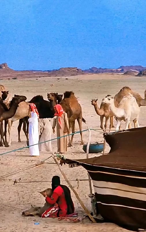 صورة قديمة من البادية