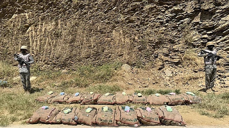 إحباط تهريب 320 كيلوجرامًا من القات بعسير