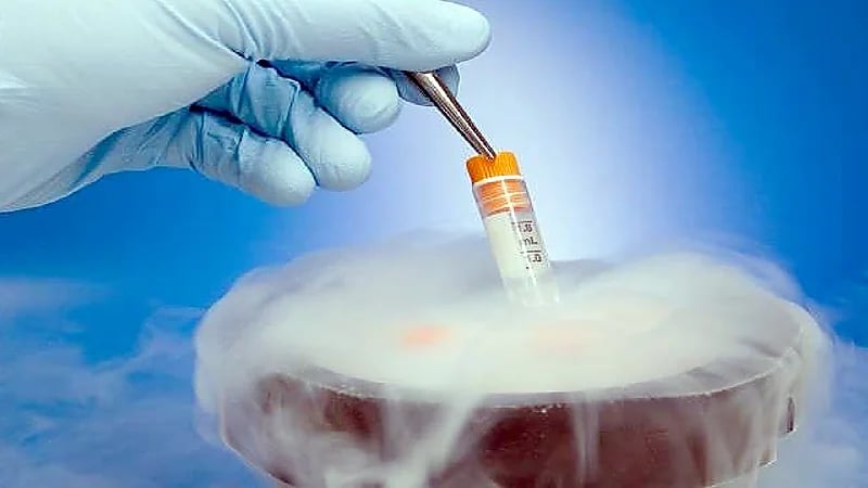 بالفيديو.. مستشار أبرز الضوابط الشرعية لتجميد البويضات