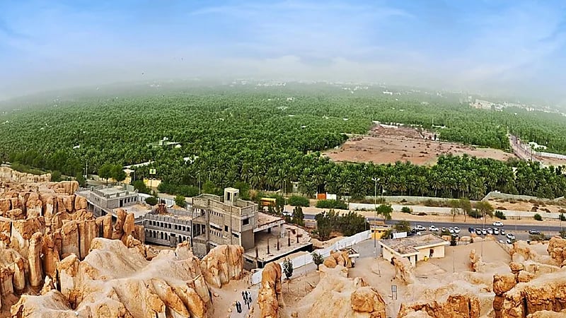 بالفيديو.. مختص يوضح أفضل المناطق السياحية لفصل الصيف بالمملكة